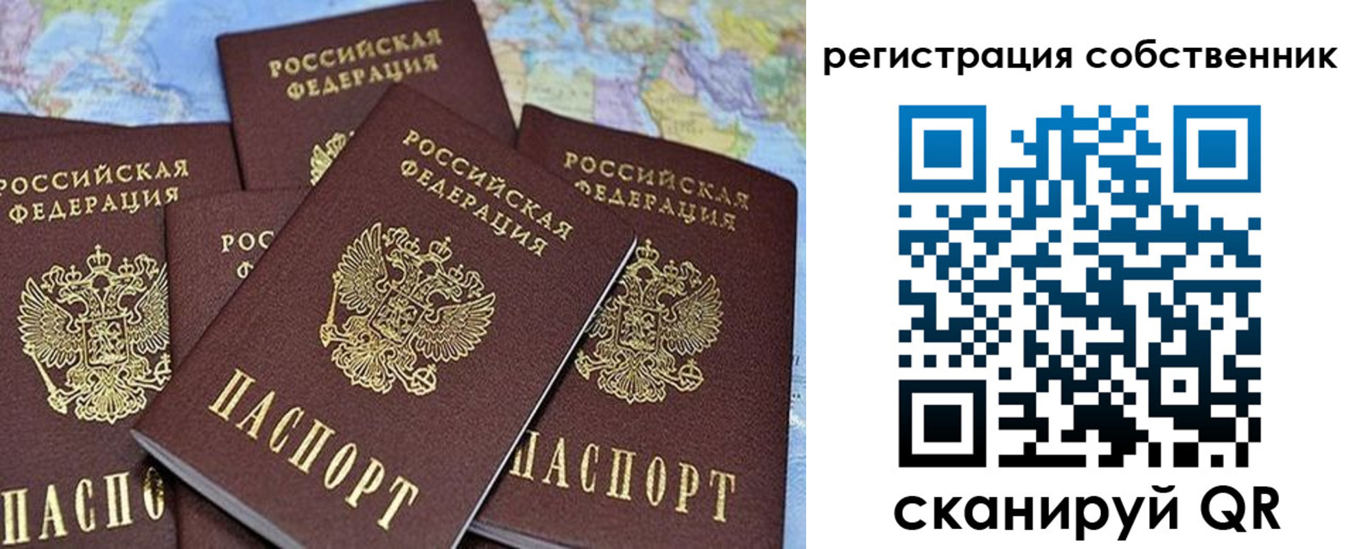 прописка для школы в Михайлове